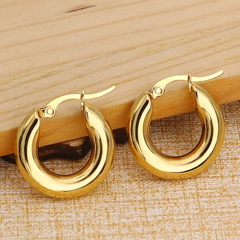 Punk Stainless Steel Minimalist Round Hollow Hoop Earrings