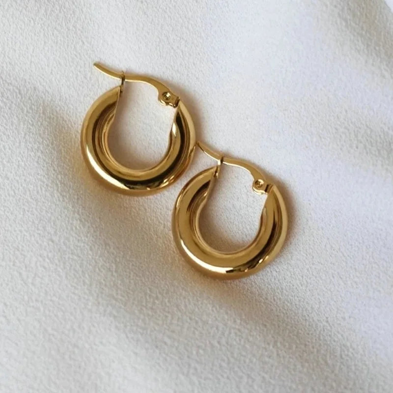 Punk Stainless Steel Minimalist Round Hollow Hoop Earrings